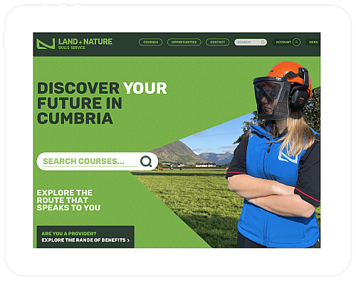 Lanss website design